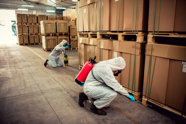 Best Mosquito Control Services  in Pine, AZ