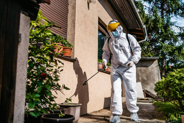 Best Residential Pest Control  in Pine, AZ