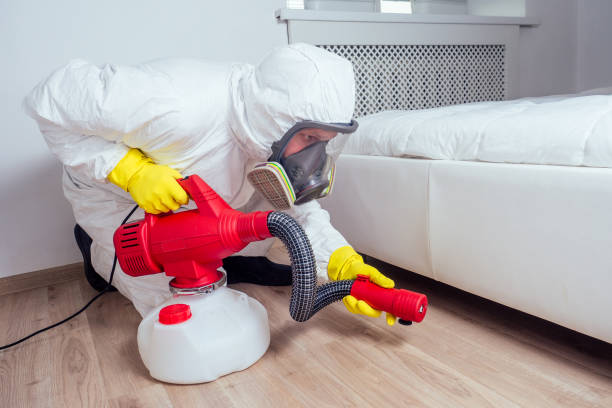 Pest Control Cost in Pine, AZ